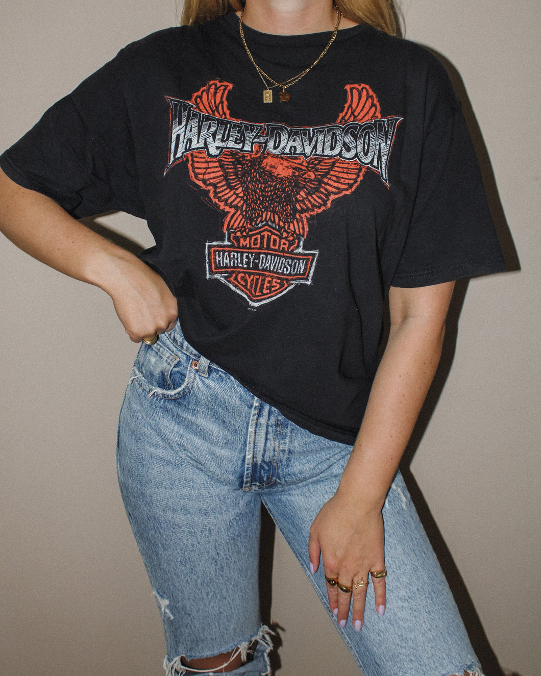 VINTAGE HARLEY DAVIDSON REDWOOD TEE